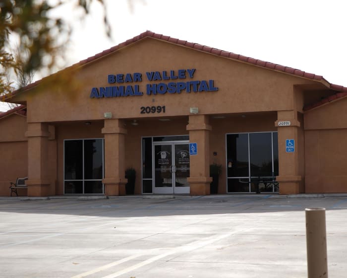 Bear Valley Animal Hospital in Apple Valley